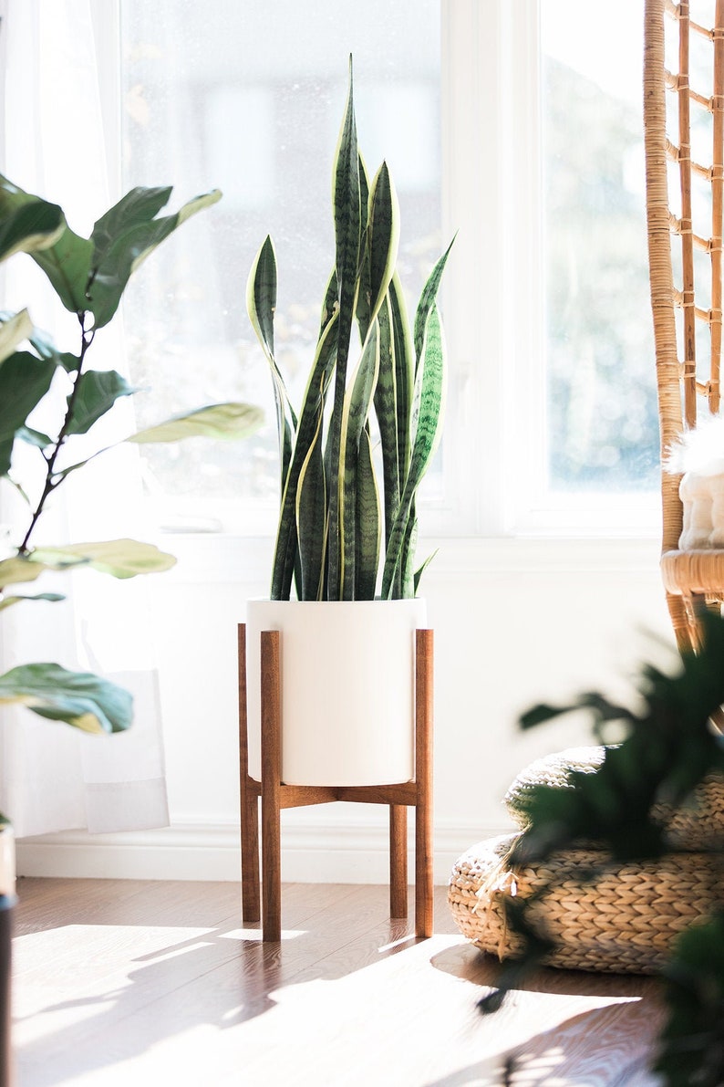 Mid Century Modern Plant Stand Hand Made in Canada Walnut
