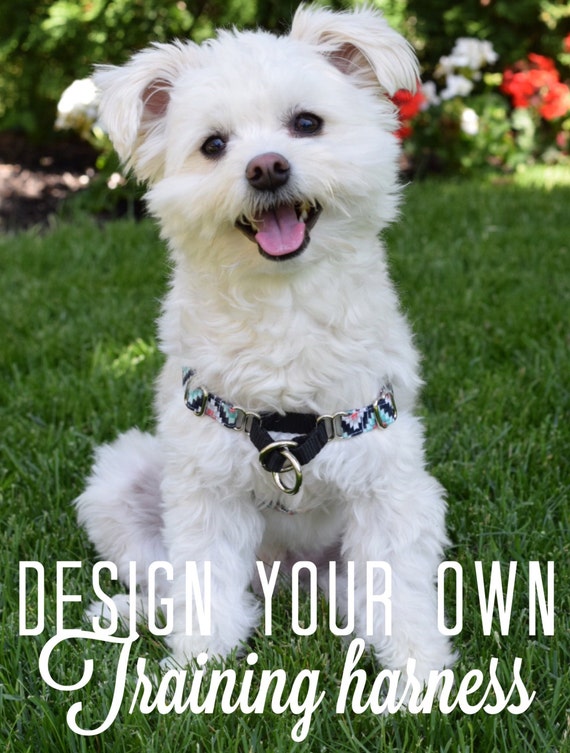 front clipping harness