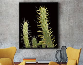 Thorny Cactus Print,Prickly Wall Art,Digital Download,Cactus Photography,San Pedro Cactus,Mexican Cactus,Printable Cactus