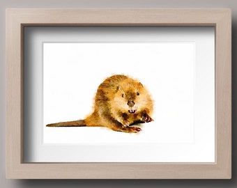 Estampas de animais para berçário de bebê castor em aquarela para impressão, decoração de arte de parede de berçário, download digital, DOWNLOAD INSTANTÂNEO