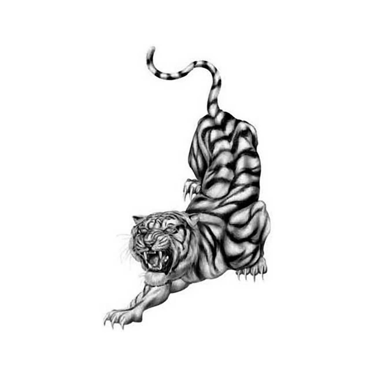 Premium Vector  Hand drawn of black and white crouching angry tiger
