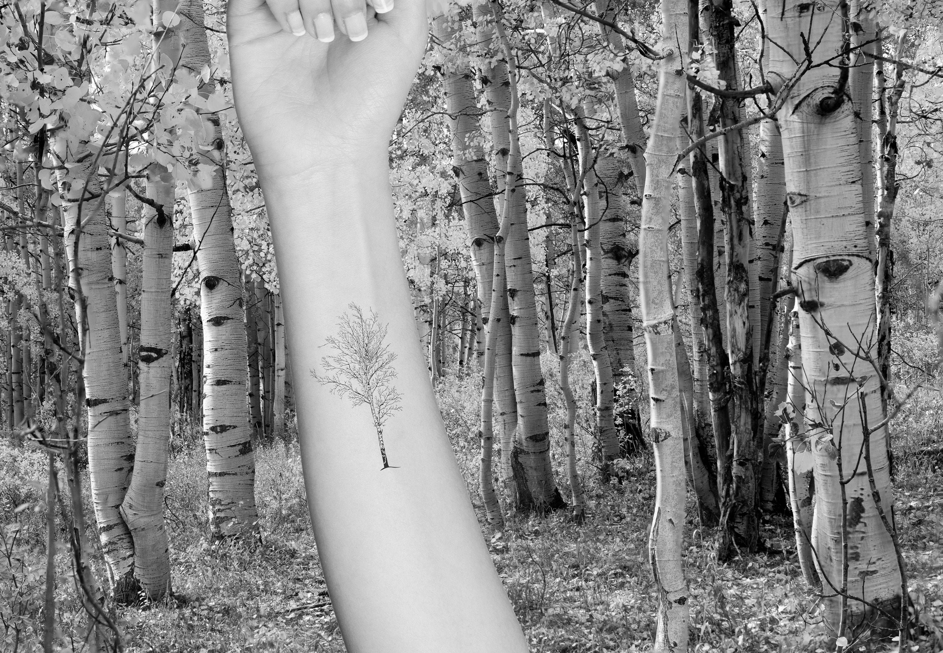 Tree tattoo swing birch birds creepy | Birch tree tattoos, Tree tattoo, Tree  sleeve tattoo