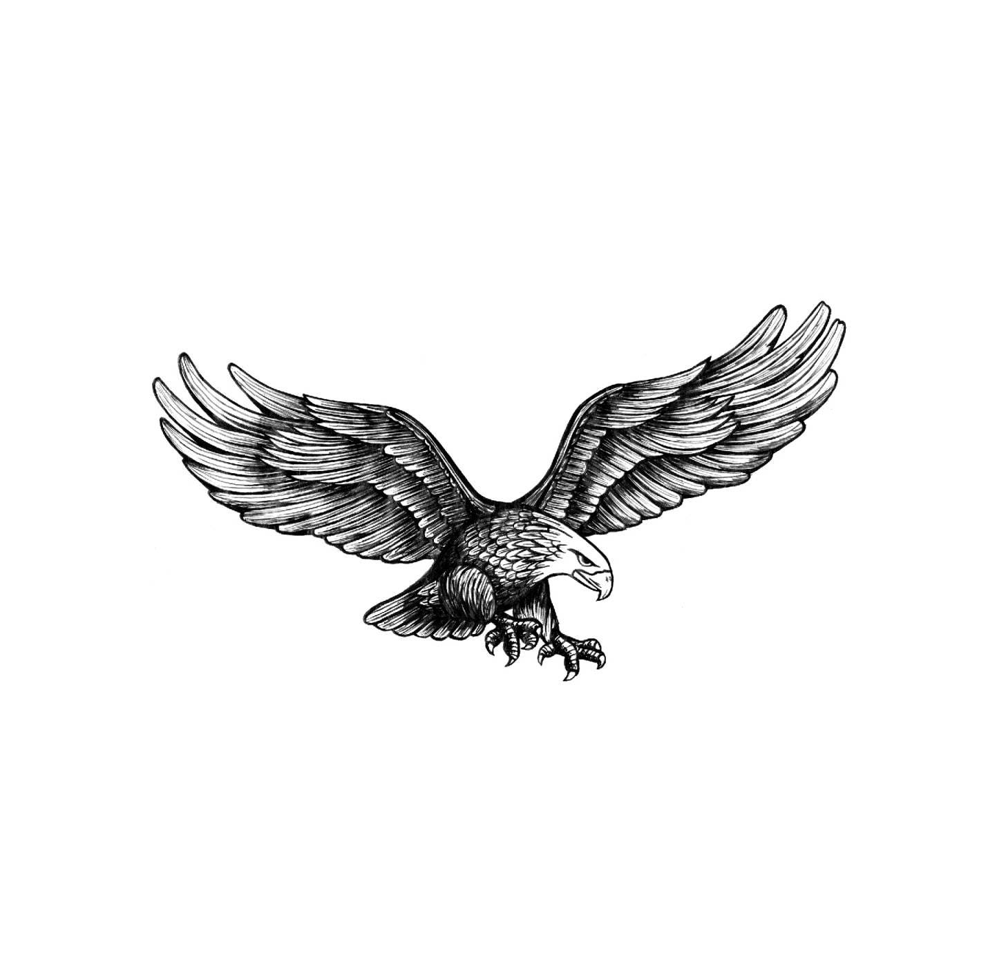 Eagle Temporary Tattoo  Set of 3  Tatteco