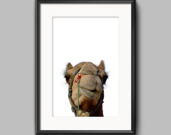 Camel Print,Desert Animal Wall Art,Digital Download,Peekaboo Print,Bohemian Prints,Moroccan Decor,Nursery Decor,Printable African Art