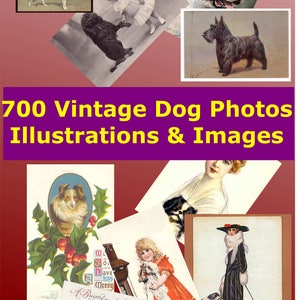 700 Vintage Hunde Fotos Illustrationen und Bilder im Digitalen Bildformat Kartenherstellung Basteln Scapbooking Trägerpapier,Kalender,Karten Etiketten