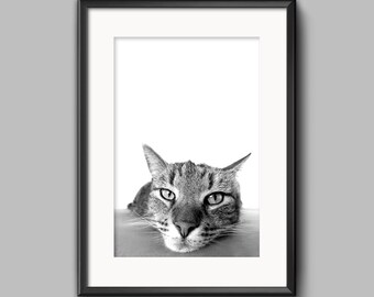 Impresión del gato, decoración del arte de la pared de la guardería, cartel de la habitación de los niños imprimible grande, descarga digital, arte de Peekaboo, ducha del bebé, foto del animal doméstico del hogar felino