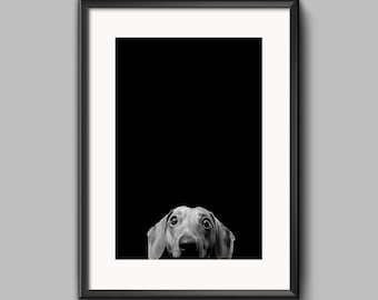Dachshund Dog Print, Nursery Wall Art Decor, Large Printable Kids Room Poster, Digital Download, Peekaboo Art, Baby Shower, Canine  Pet