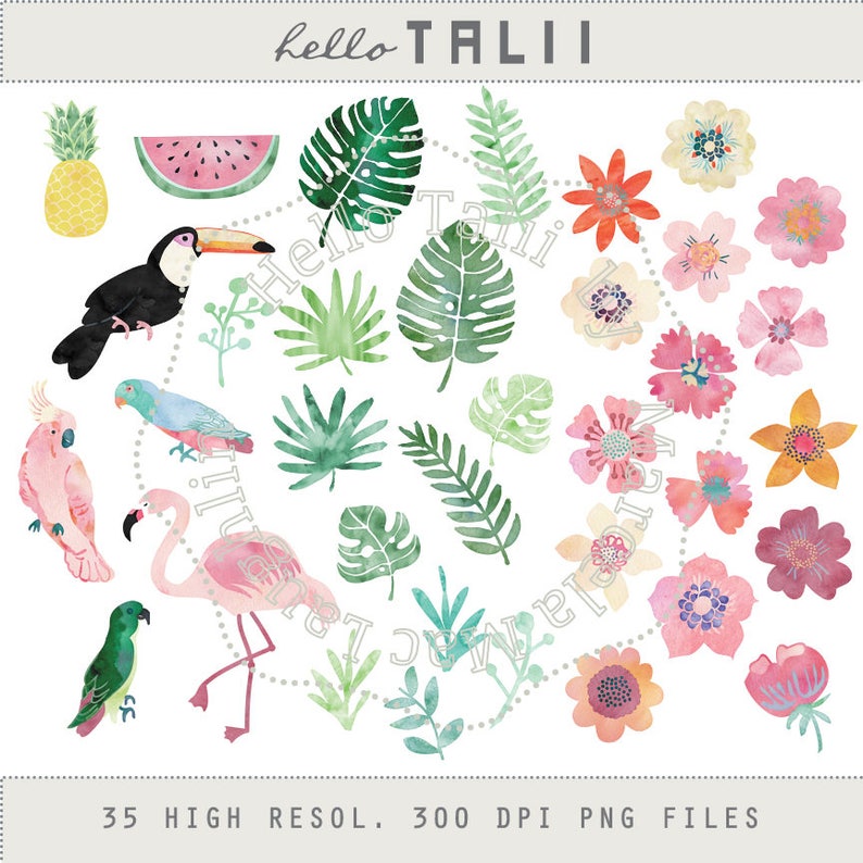 May include: A set of 35 digital illustrations featuring tropical elements, including pink flamingos, toucans, parrots, pineapple, watermelon, green leaves, and pink and yellow flowers. The illustrations are in a watercolor style and are perfect for creating invitations, cards, and other digital projects.