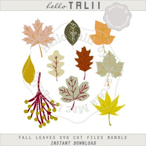 May include: A collection of fall leaves in various colors, including orange, brown, and yellow, arranged in a circular pattern. The design includes text that reads "Hello Talii" and "Fall Leaves SVG Cut Files Bundle Instant Download."