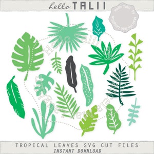 May include: An assortment of tropical leaves in shades of green and a single black leaf, set against a white backdrop. The text "hello TALII" is at the top, with "TROPICAL LEAVES SVG CUT FILES" and "INSTANT DOWNLOAD" at the bottom.