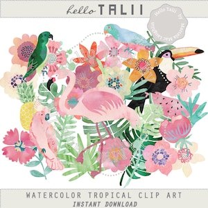 WATERCOLOR TROPICAL Clipart- Digital Summer Tropical Clip Art Jungle Flowers Leaves Flamingo Toucan Parrots Pineapple Watermelon Floral PNG