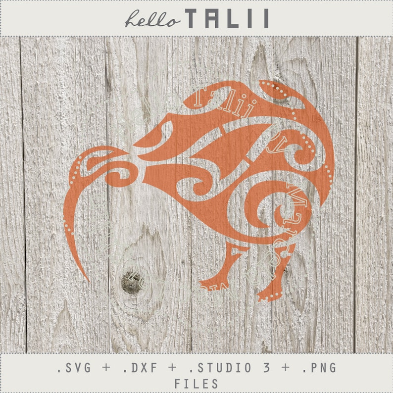 Kiwi Bird Stencil SVG cutting files DIY digital stencil | Etsy