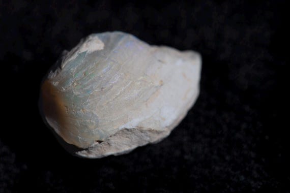 16 ct carat Green Opal Shell Med Size Rough Opal Freeform Rock A++++ Fire