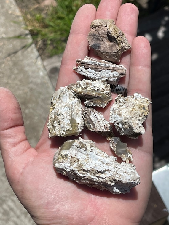 Rough Parcels — Opalized Petrified Wood 450 cts Large Size Rough Wood Opal Rock NO Fire