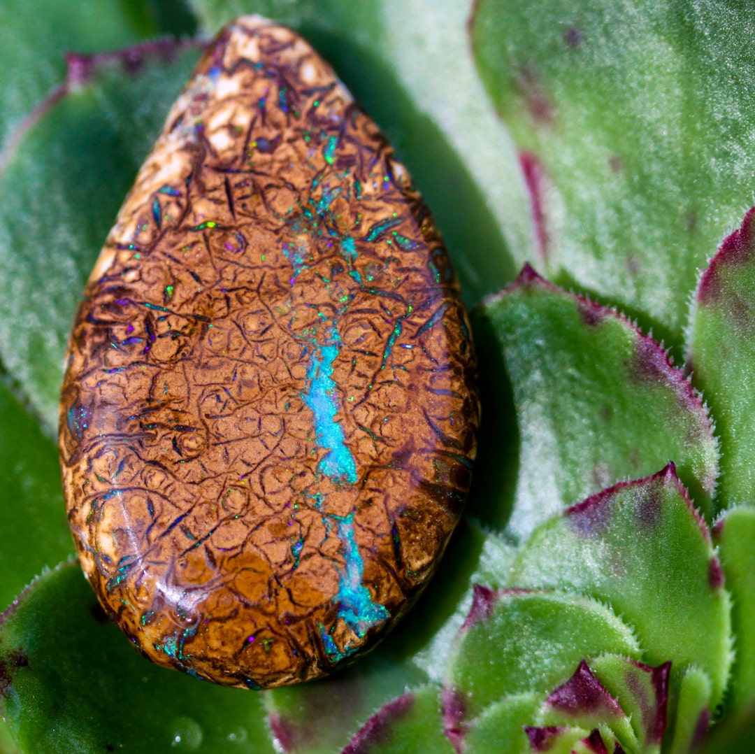 Boulder Opal Freeform 34.5 Cts Insane Matrix and Brilliant Colors - Etsy