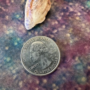 15.5 ct carat Opal Shell Med Size Rough Opal Freeform Rock A Fire Ships World Wide FROM USA image 2