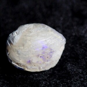 May include: A small, off-white seashell with a textured surface and subtle purple hues. The shell is round and appears to be naturally formed, with a slightly rough exterior. The background is a dark, solid color.