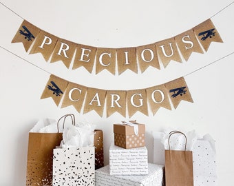 Precious Cargo Banner, Plane Baby Shower Decorations, Boy Baby Sprinkle, Travel Theme Party