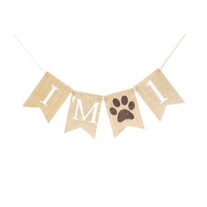 Dog Birthday Party Decorations, Personalized Pet Party Banner, Puppy Party Decor, Dog Themed Party Decorations, Dog Happy Birthday, B943