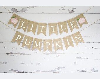 Little Pumpkin Banner For First Birthday Or Baby Shower – Pre-Stringed, Fall-Themed Party Decor