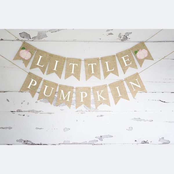 Little Pumpkin Banner, Watercolor Pumpkin Decor, Fall Birthday Party Decoration,  Fall Baby Shower Decor, Pumpkin Party Garland, B869