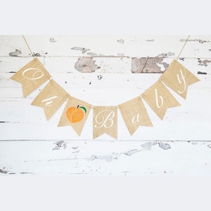 Oh Baby Peach Banner, Baby Shower or Gender Reveal Party Decor, Peach Banner, Peach Baby Shower Decor, Baby Shower Banner,Oh Baby Sign B1019
