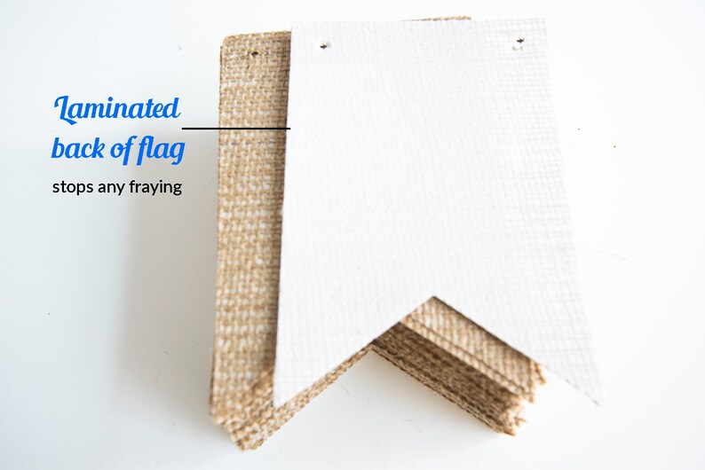 Girl Ladybug Banner Ladybug 1st Birthday Banner Garden One Banner Ladybug Party Ladybug Banner Ladybug Burlap Banner B314