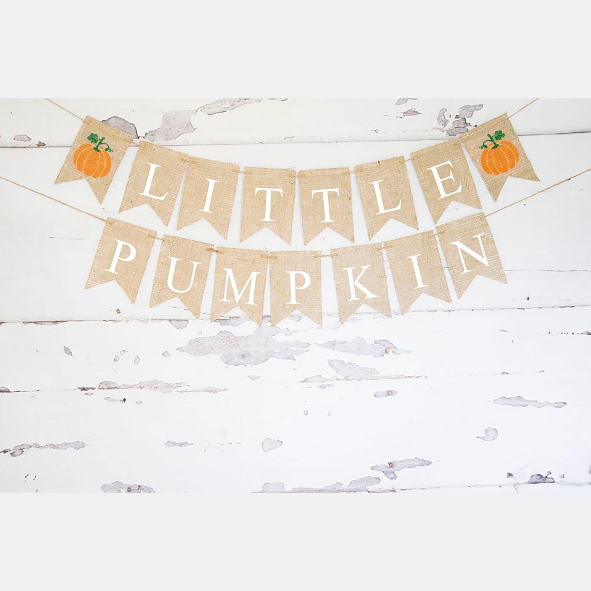 Little Pumpkin Banner Pumpkin Gender Reveal Decor Fall Birthday Party Decoration Fall Baby Shower Decor Pumpkin Party Garland