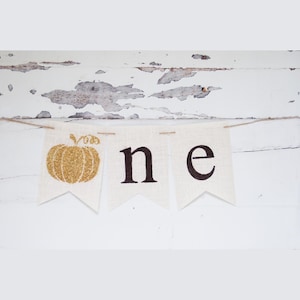 Primera fiesta de cumpleaños de otoño de oro, pequeña calabaza 1er cumpleaños, pancarta de calabaza, decoración de fiesta de otoño, un empavesado, B344