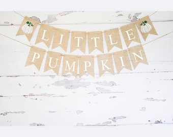 Little Pumpkin Banner, Pumpkin Gender Reveal Decor, Fall Birthday Party Decoration,  Fall Baby Shower Decor, Pumpkin Party Garland, B1123
