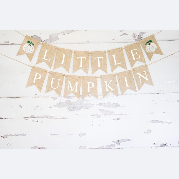 Little Pumpkin Banner, Pumpkin Gender Reveal Decor, Fall Birthday Party Decoration,  Fall Baby Shower Decor, Pumpkin Party Garland, B1123