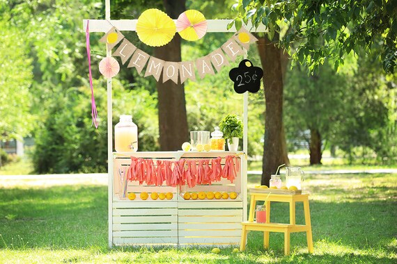 Lemonade Party Decor Lemonade Banner Lemonade Stand Etsy