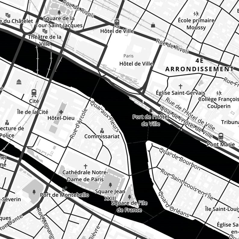 Paris Map Poster B&W image 2