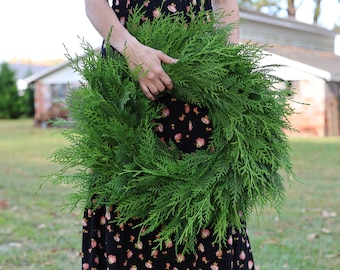 FRESH Cypress Wreath - Christmas Wreath - Cypress Wreath