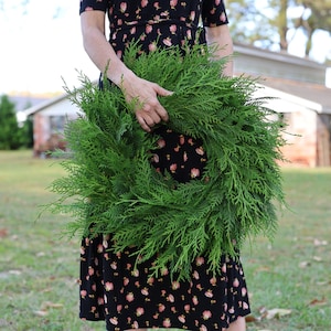 FRESH Cypress Wreath - Christmas Wreath - Cypress Wreath