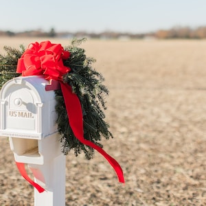 May include: A white mailbox with a red bow and a green wreath on top. The mailbox says "US Mail" on the front. The mailbox is in a field with dry grass.