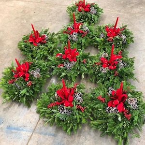 FRESH Fraizer Fir Centerpieces - Christmas Centerpiece