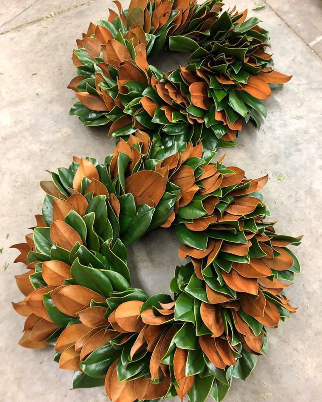 FRESH Solid Magnolia Wreath Etsy