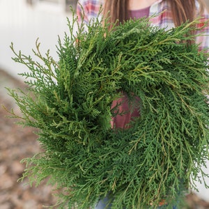 FRESH Cypress Wreath - Christmas Wreath - Cypress Wreath - Etsy