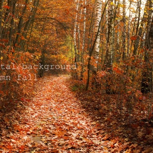 Autumn Fall Digital Background Magic Forest Autumn Forest Etsy