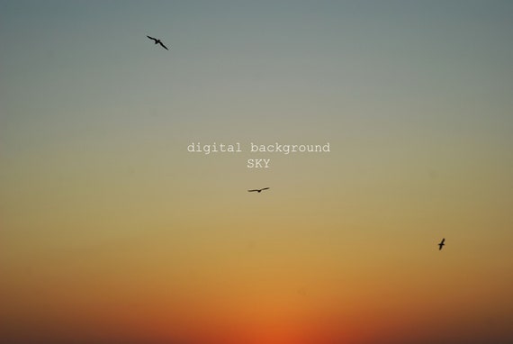 sunny sky overlay for your photoshop project summer etsy etsy