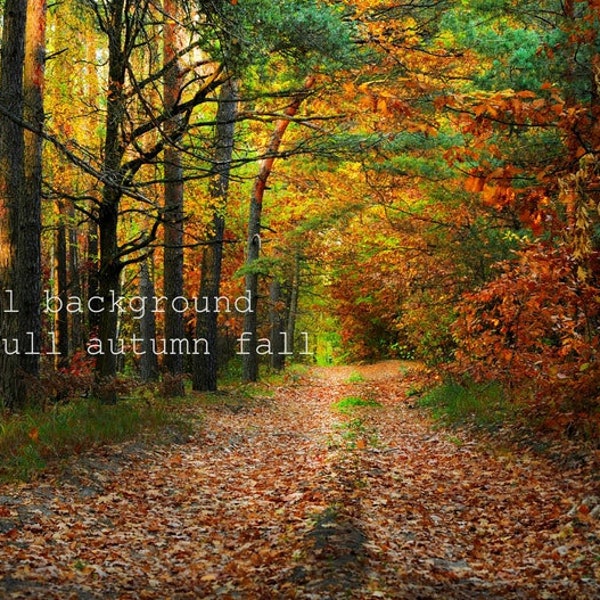 Autumn fall digital background magic forest autumn forest rustic wood photoshop background photography nature forest photography outdoor