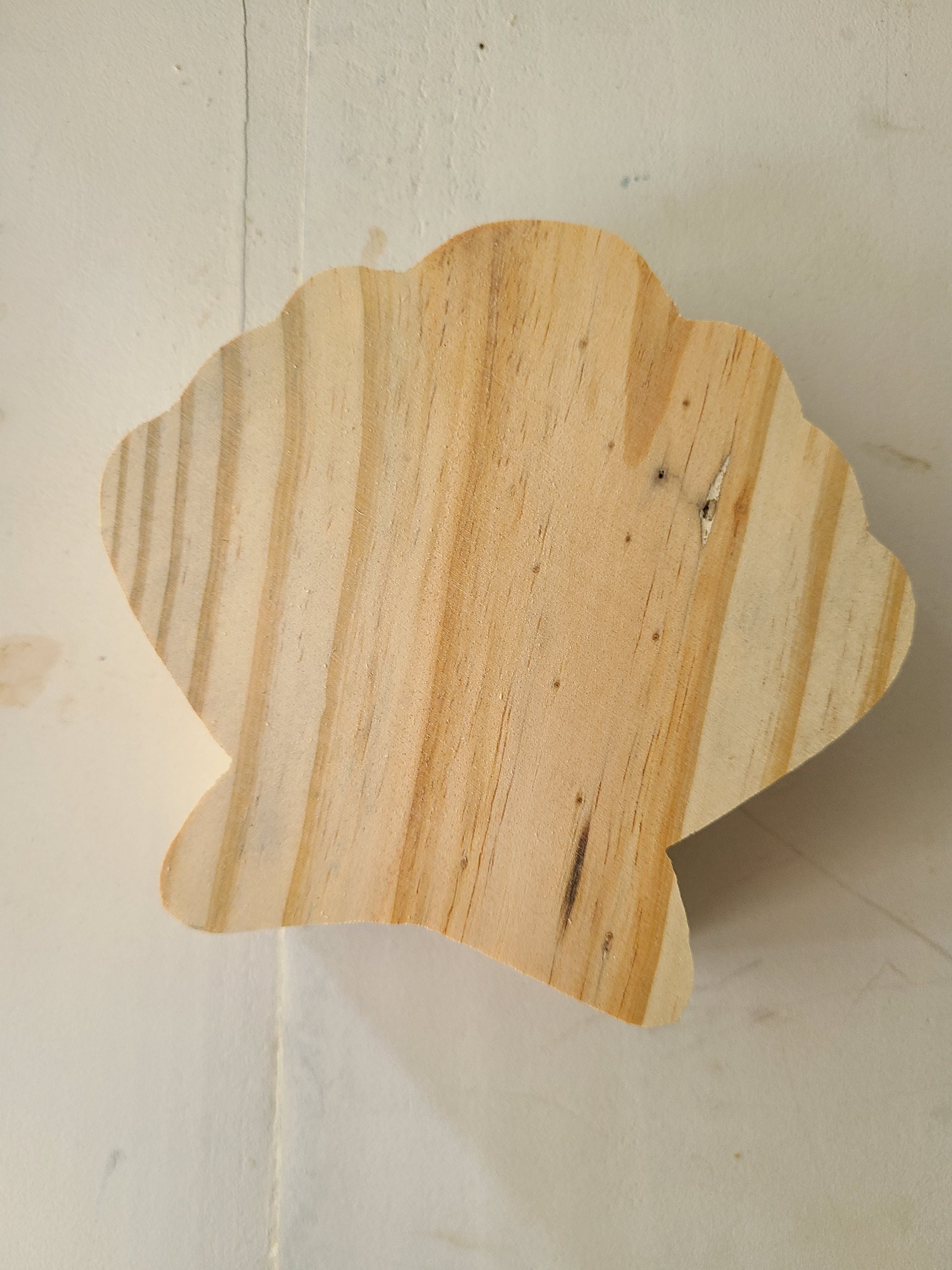 6 Clam Shell Chunky Cut Out Great for Summer Tiered Tray Party, Shelf ...