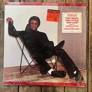 Vintage 1978 Johnny Mathis “You Light Up My Life” LP Record
