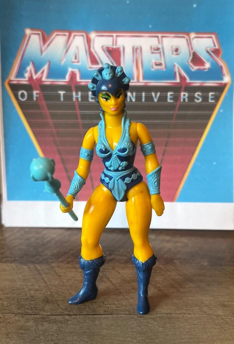 1992 年CMLL ルチャドーレス　ピエロス　フィギュア 1983 Mattel - Masters of the Universe - EVIL LYN Action Figure