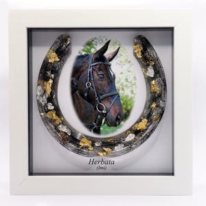 Framed horse shoe preserving your horse&#39;s hair