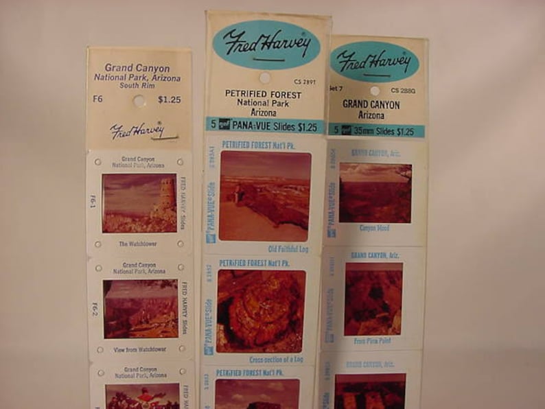 Arizona Fred Harvey Pana-Vue Souvenir 2X2 Travel Slides Vintage Old Collectible Petrified Forest National Park