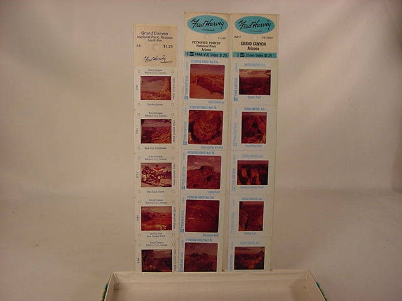 Arizona Fred Harvey Pana-Vue Souvenir 2X2 Travel Slides Vintage Old Collectible Petrified Forest National Park
