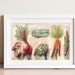 see more listings in the KITCHEN Wall Art section