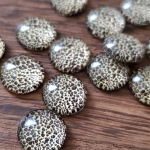 Champagne leopard 12mm photo glass dome cabochon -10pcs l Earring making jewelry supplies, Round glass bezel Cabochon DIY supplies